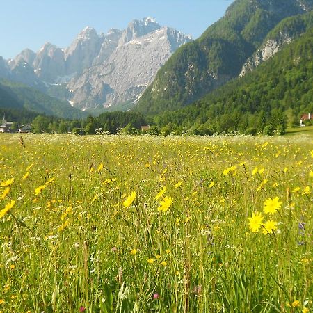 Affittacamere Krajnc Мальборґетто-Вальбруна Екстер'єр фото