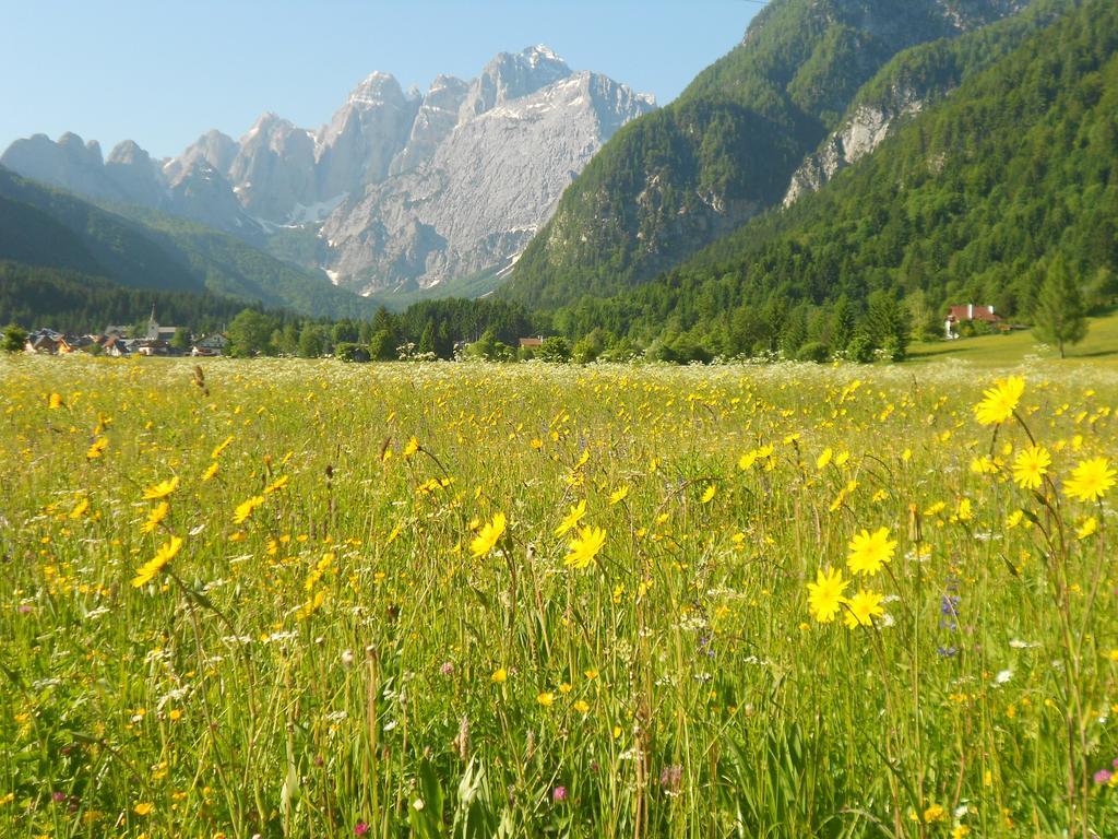 Affittacamere Krajnc Мальборґетто-Вальбруна Екстер'єр фото